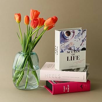 Amazon｜Francfranc フランフラン レディ ブックボックス S